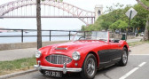 Annonce Austin healey 3000 occasion Essence MK I  LYON