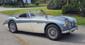 Austin healey 3000 occasion année 1963 boite Manuelle Annonce Austin healey 3000 occasion Essence mk ii à LYON