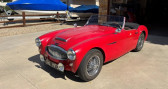 Austin healey 3000 occasion  année 1962 boite Manuelle Annonce Austin healey 3000 occasion Essence mk ii à LYON