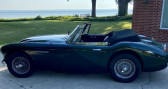 Austin healey 3000 occasion année 1966 boite Manuelle Annonce Austin healey 3000 occasion Essence mk iii à LYON