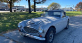 Annonce Austin healey 3000 occasion Essence mk iii  LYON