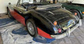 Annonce Austin healey 3000 occasion Essence Mk III  LYON