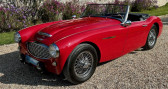 Austin healey 3000 mk1 bt7 1961   MARCQ 78