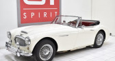 Austin healey 3000 occasion année 1963 Annonce Austin healey 3000 occasion Essence MK2 BJ7 à La Boisse