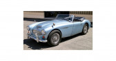 Austin healey 3000 mk3 bj8 1965   MARCQ 78