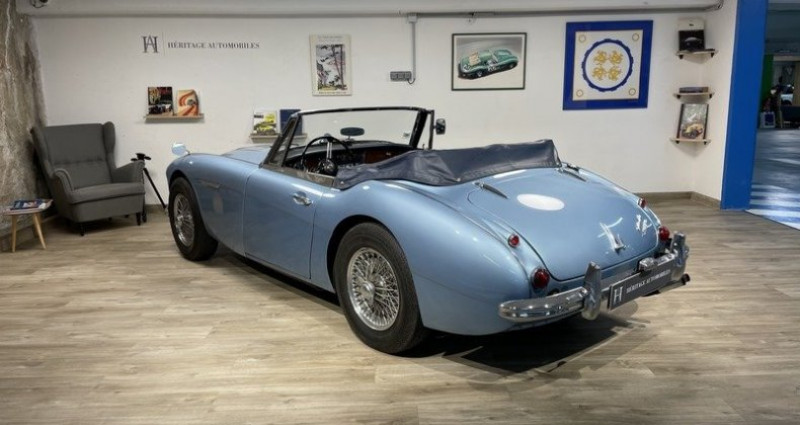 Austin healey 3000 MK3 Type BJ8  occasion  Neuilly-sur-Seine - photo n7