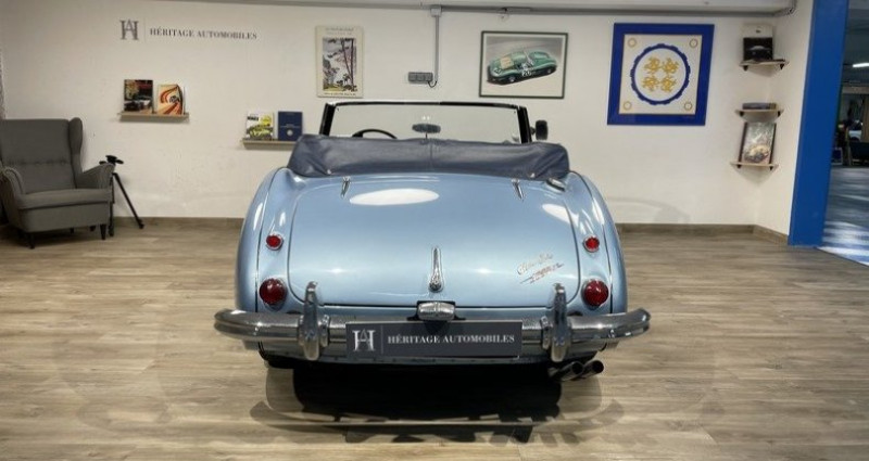 Austin healey 3000 MK3 Type BJ8  occasion  Neuilly-sur-Seine - photo n6