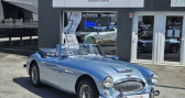 Annonce Austin healey 3000 occasion Essence MKIII BJ8 3.0 L 150 ch Overdrive � EPONE