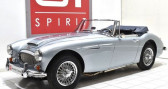 Austin healey 3000 MKIII BJ8 Phase 2   La Boisse 01
