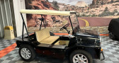 Annonce Austin MINI occasion Essence MINI-MOKE SCHMITTY SANS PERMIS � Le Muy