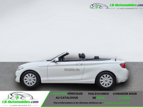 Bmw Serie 2 218i 136 ch BVA  occasion � Beaupuy - photo n�4