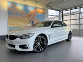 Bmw Serie 4 420i 184 ch BVA   L'Union 31