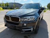Bmw X5 xDrive30d 258 ch BVA   L'Union 31