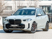 Bmw X5 xDrive30d 298 ch BVA   L'Union 31