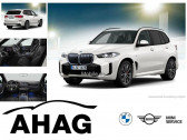 Bmw X5 xDrive30d 298 ch BVA   L'Union 31