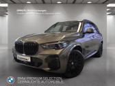 Annonce Bmw X5 occasion Diesel xDrive40d 340 ch BVA � L'Union
