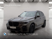 Bmw X5 xDrive40d 340 ch BVA   L'Union 31