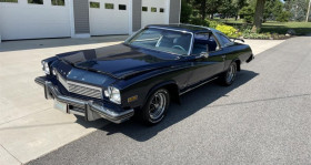 Buick CENTURY , garage GOOD TIMERS  LYON