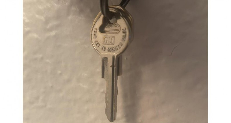 Buick Wildcat  1965 - photo n°6 Buick Wildcat   occasion à LYON - photo n°6