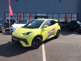 Byd Dolphin , garage BRIOCAR RENNES  SAINT-GREGOIRE