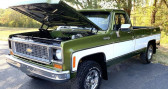 Chevrolet C10 occasion année 1973 Annonce Chevrolet C10 occasion Essence C-10 à LYON