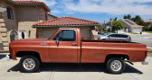 Annonce Chevrolet C20 occasion Essence Pickup  LYON