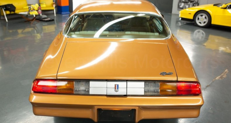 Chevrolet Camaro  1978 - photo n°7 Chevrolet Camaro   occasion à LYON - photo n°7