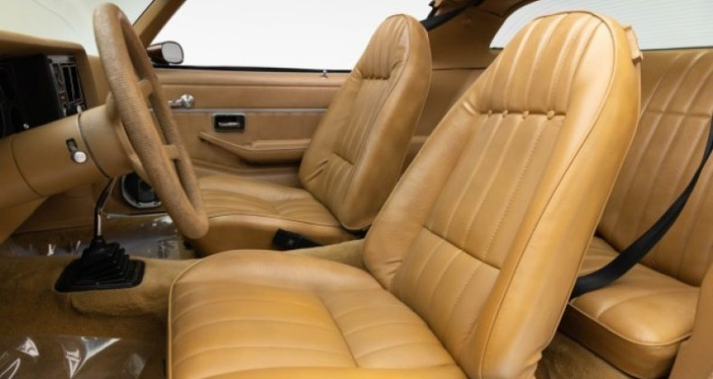 Chevrolet Camaro  1979 - photo n°4 Chevrolet Camaro   occasion à LYON - photo n°4