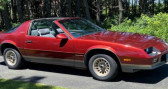 Chevrolet Camaro berlinetta   LYON 69