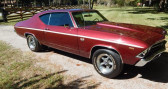 Chevrolet Chevelle occasion 1969 Chevrolet Chevelle   à LYON 69