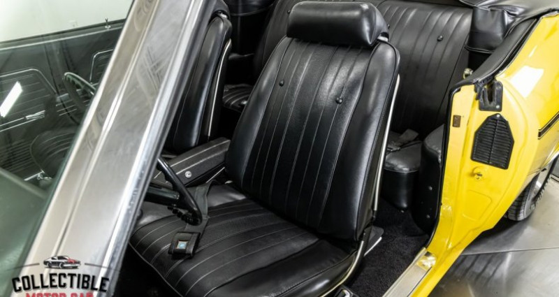 Chevrolet Chevelle  1969 - photo n°4 Chevrolet Chevelle   occasion à LYON - photo n°4