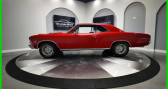 Chevrolet Chevelle occasion 1966 Chevrolet Chevelle   à LYON 69