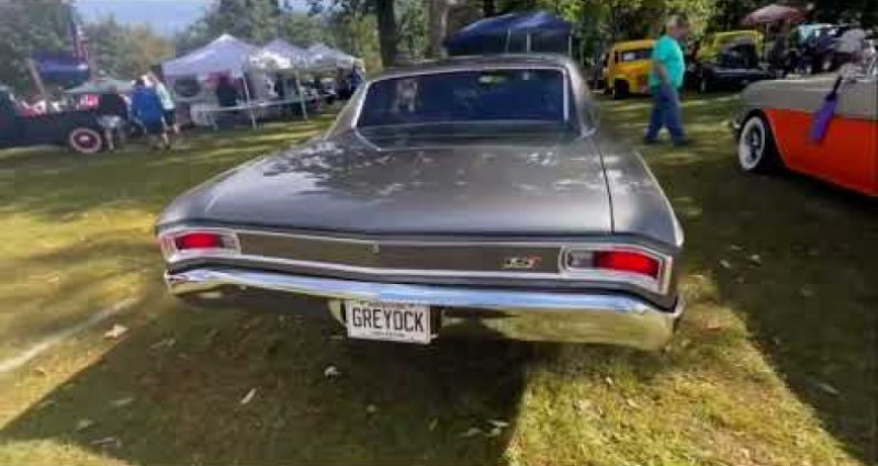 Chevrolet Chevelle  1966 Chevrolet Chevelle   occasion à LYON