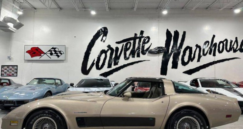 Chevrolet Corvette   occasion  LYON - photo n2