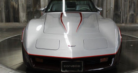 Chevrolet Corvette occasion 1982 mise en vente à LYON par le garage GOOD TIMERS - photo n°1