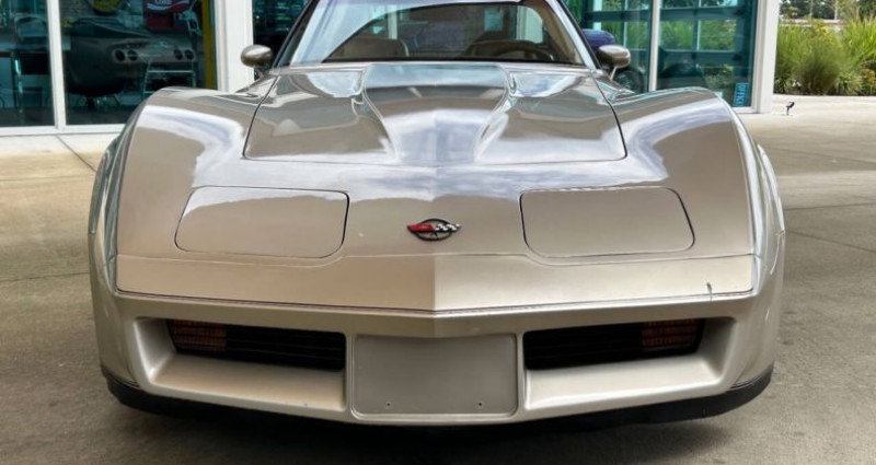 Chevrolet Corvette   occasion  LYON - photo n2