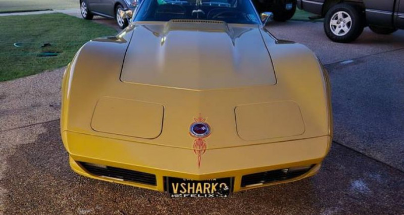 Chevrolet Corvette   occasion  LYON - photo n4