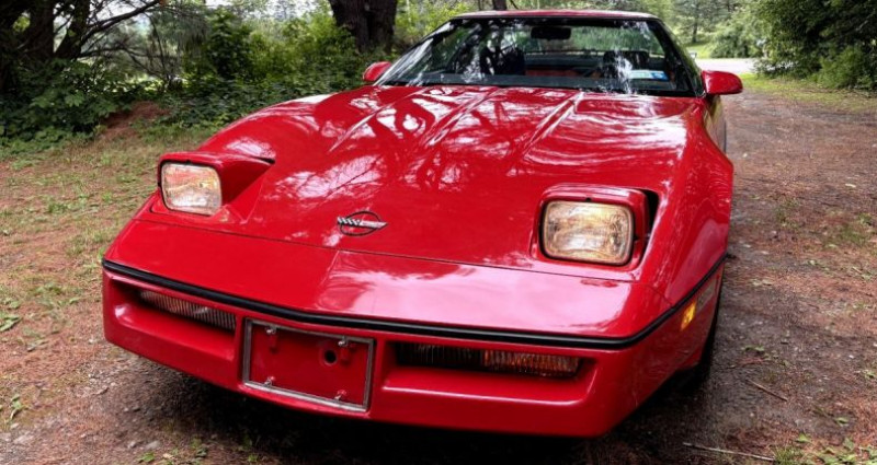 Chevrolet Corvette   occasion  LYON - photo n7