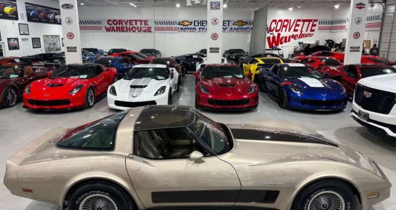 Chevrolet Corvette   occasion  LYON - photo n5