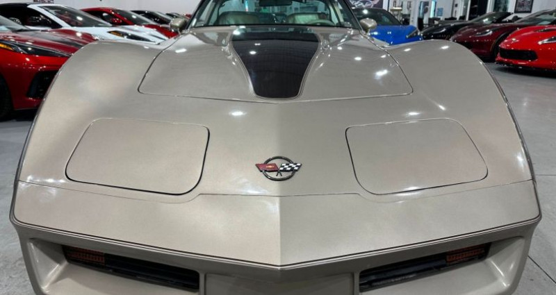Chevrolet Corvette   occasion  LYON - photo n7