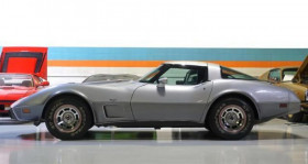 Chevrolet Corvette occasion 1978 mise en vente à LYON par le garage GOOD TIMERS - photo n°1