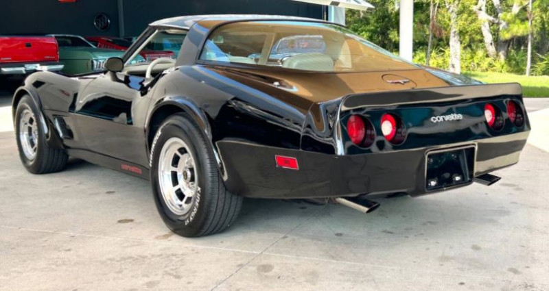 Chevrolet Corvette   occasion  LYON - photo n7