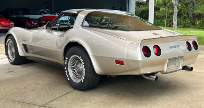 Chevrolet Corvette   occasion  LYON - photo n7