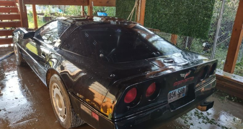 Chevrolet Corvette   occasion  LYON - photo n6