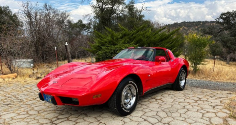 Chevrolet Corvette   occasion  LYON - photo n6