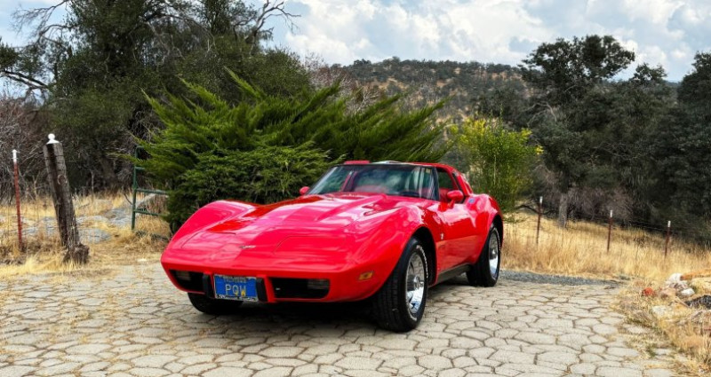 Chevrolet Corvette   occasion  LYON - photo n5