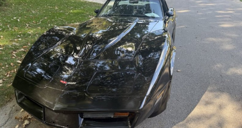 Chevrolet Corvette   occasion  LYON - photo n7
