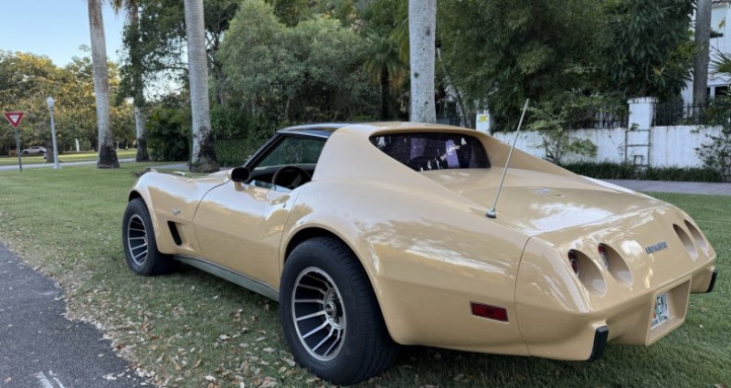 Chevrolet Corvette   occasion  LYON - photo n4