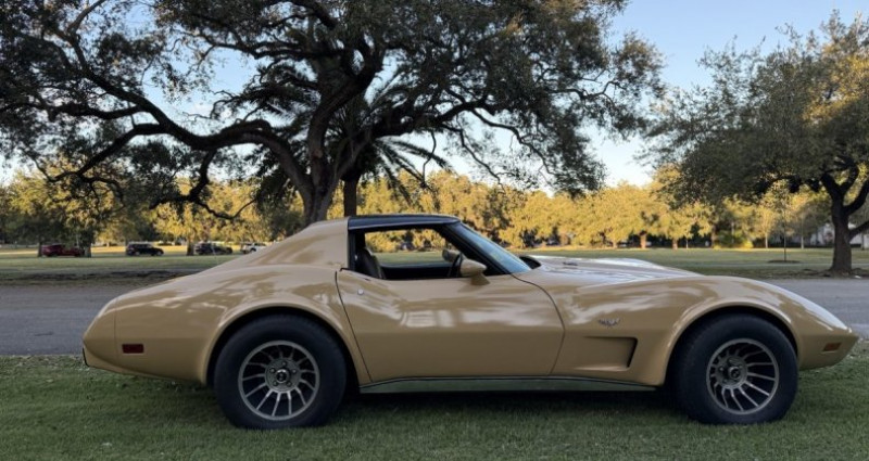 Chevrolet Corvette   occasion  LYON - photo n7