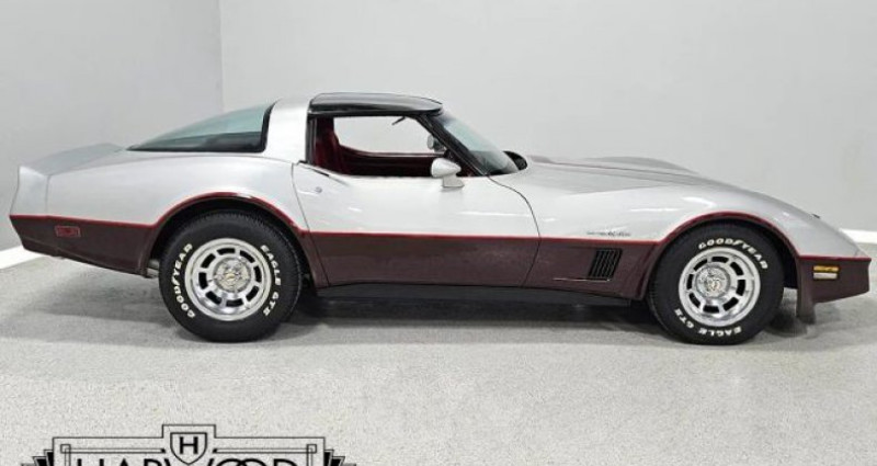 Chevrolet Corvette   occasion � LYON - photo n�7